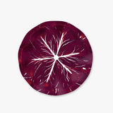 Classic Cabbage Dessert Plate Set Burgundy