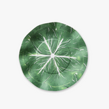 Classic Cabbage Dessert Plate Set Green