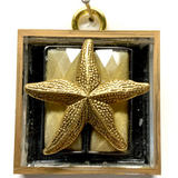 Acrylic Frame with Starfish / Slight Imperfections