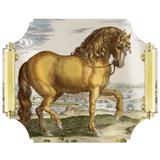 Acrylic Tray with Brass Handles | Stallion