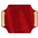 Acrylic Tray with Brass Handles | Red Ostrich
