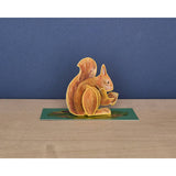 Pop-out Red Squirrel