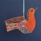 Flying Robin
