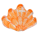 Shells - Corals MAXI