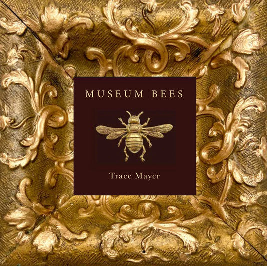 Museum Bees Book by Trace Mayer